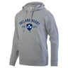 Grey hoodie with navy Ireland Rugby EST 1875 design with a shamrock crest center front.