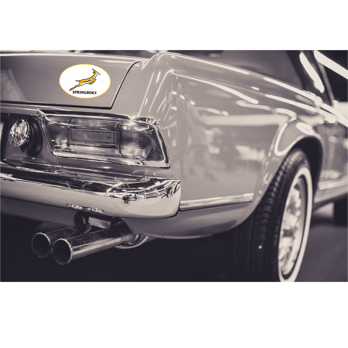 A black and white photo of a Springboks Sticker Sheet - Variety of 24 Stickers by World Rugby Shop.