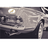 A black and white photo of a Springboks Sticker Sheet - Variety of 24 Stickers by World Rugby Shop.