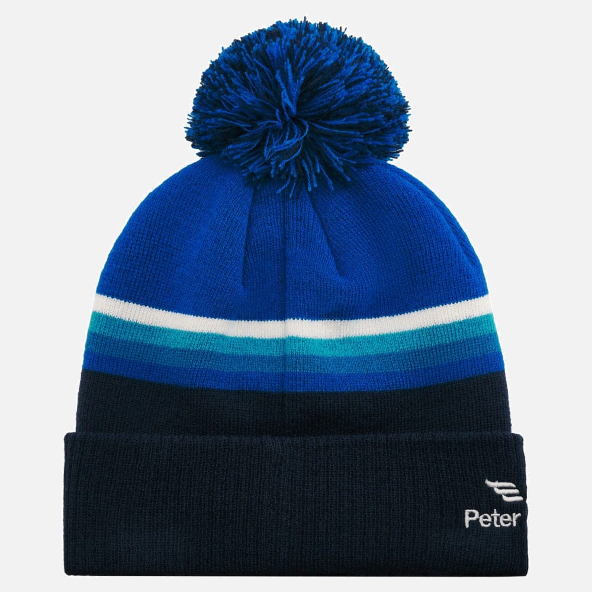 Scotland rugby beanie sales hat