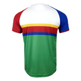 Back side of Namibia jersey. White upper back, right blue shoulder trimmed in red while red left shoulder and sleeve. Yellow, red, blue horizontal stripes with green lower half.