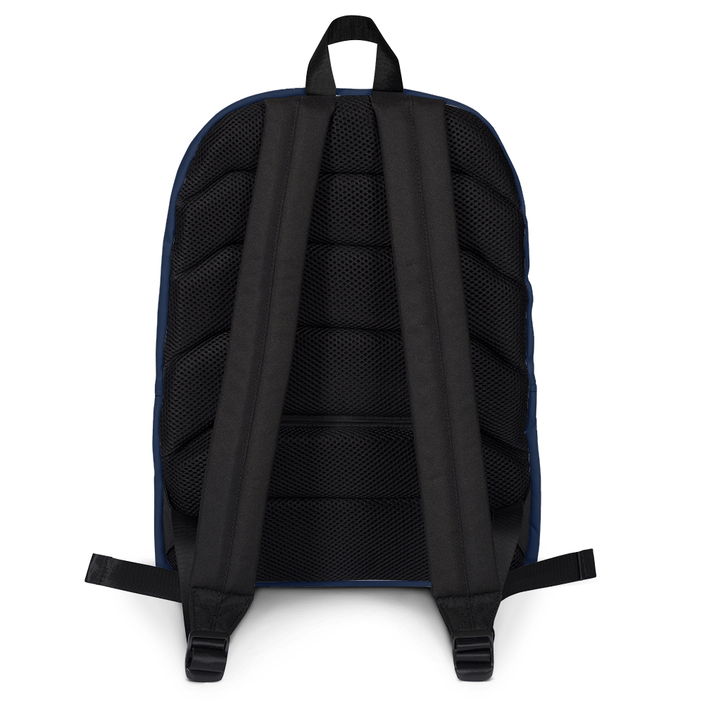 A USA Wheelchair Rugby Backpack on a green background.