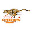 Cheetahs Sticker Close Up