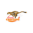 Cheetahs Sticker