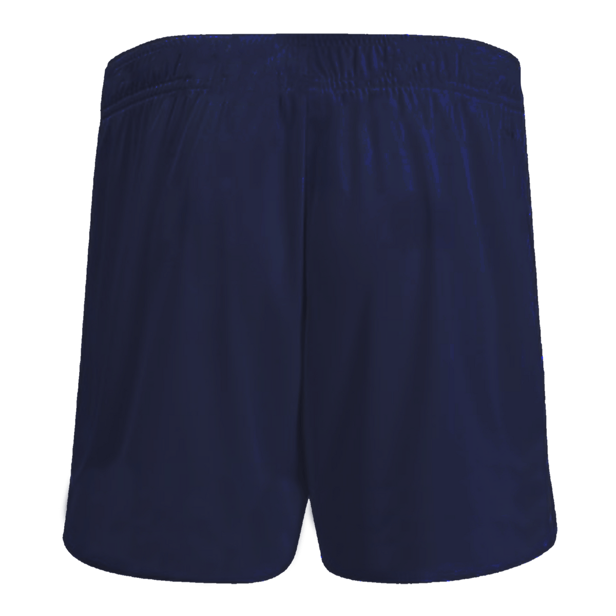 Western Province Rugby Athletic Shorts World Rugby Shop
