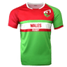 Wales rugby round neck short sleeve jersey. Upper red back, right shoulder and sleeve, white round collar, and green left shoulder and sleeve trimmed in red. Green horizontal stripe across the upper chest with white stripe below and red stripe below the white. Green lower torso.  