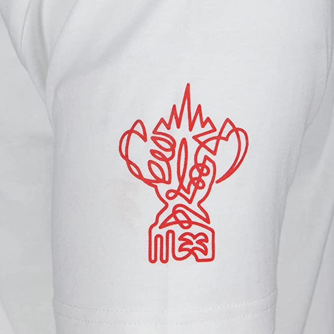 Webb Ellis Trophy for the RWC 2023 France design on the sleeve