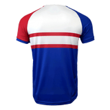 Back of France jersey in red, white and blue. Red left shoulder and sleeve. Blue right shoulder and sleeve. Two red horizontal stripes in the center with blue below.  